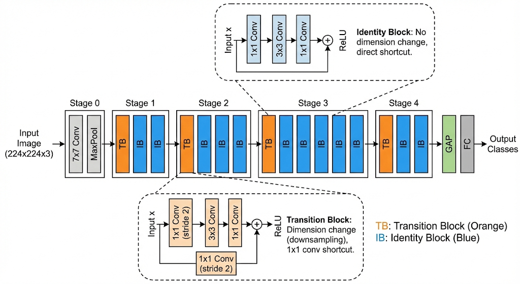 Model Architecture