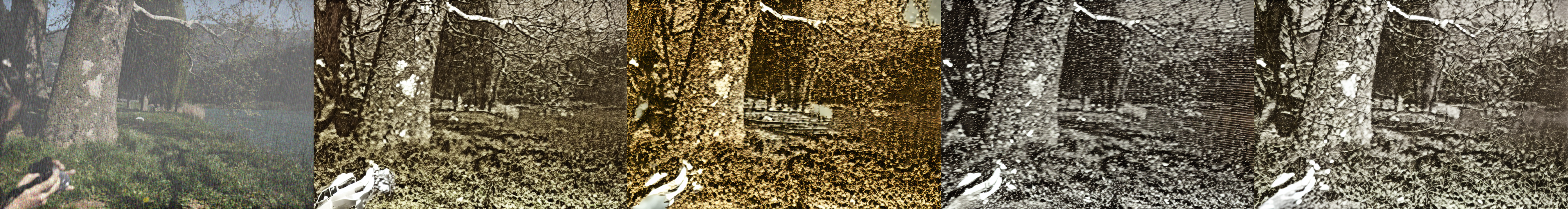 images_1)