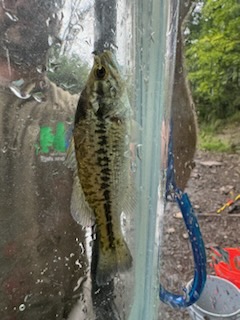 IMG_8742.jpg