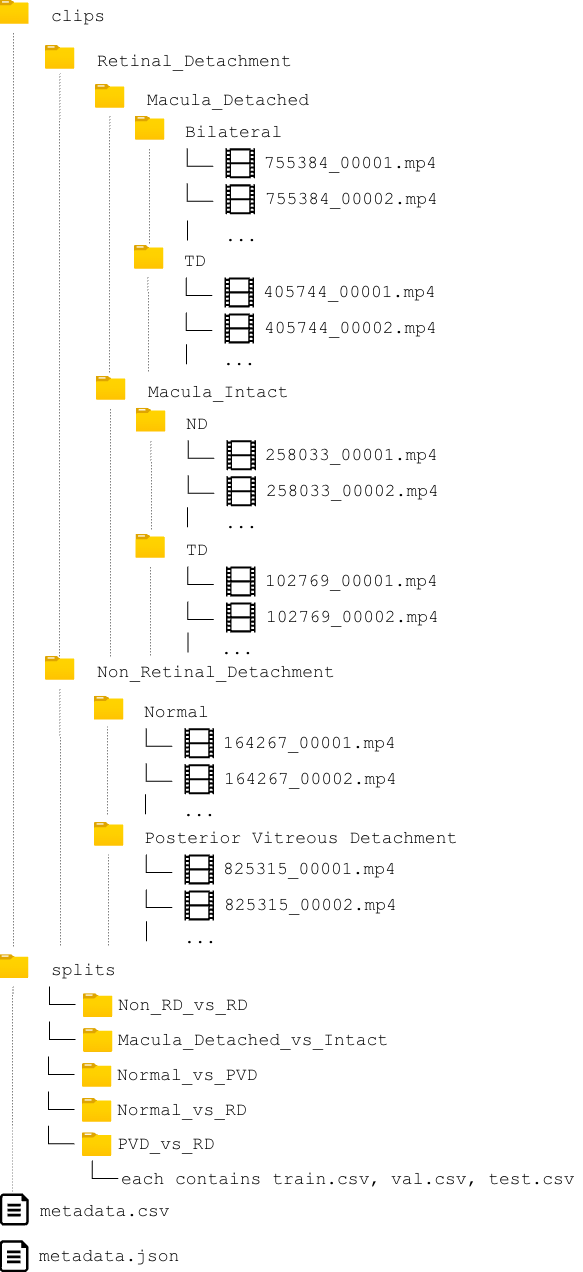 Folder Structure