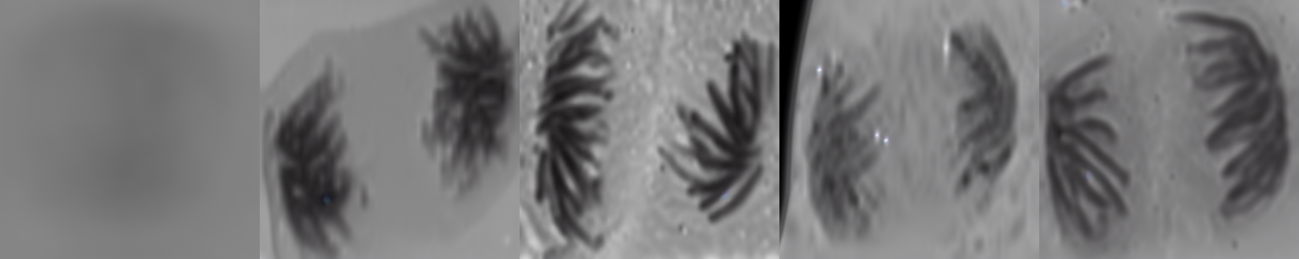 images_0)