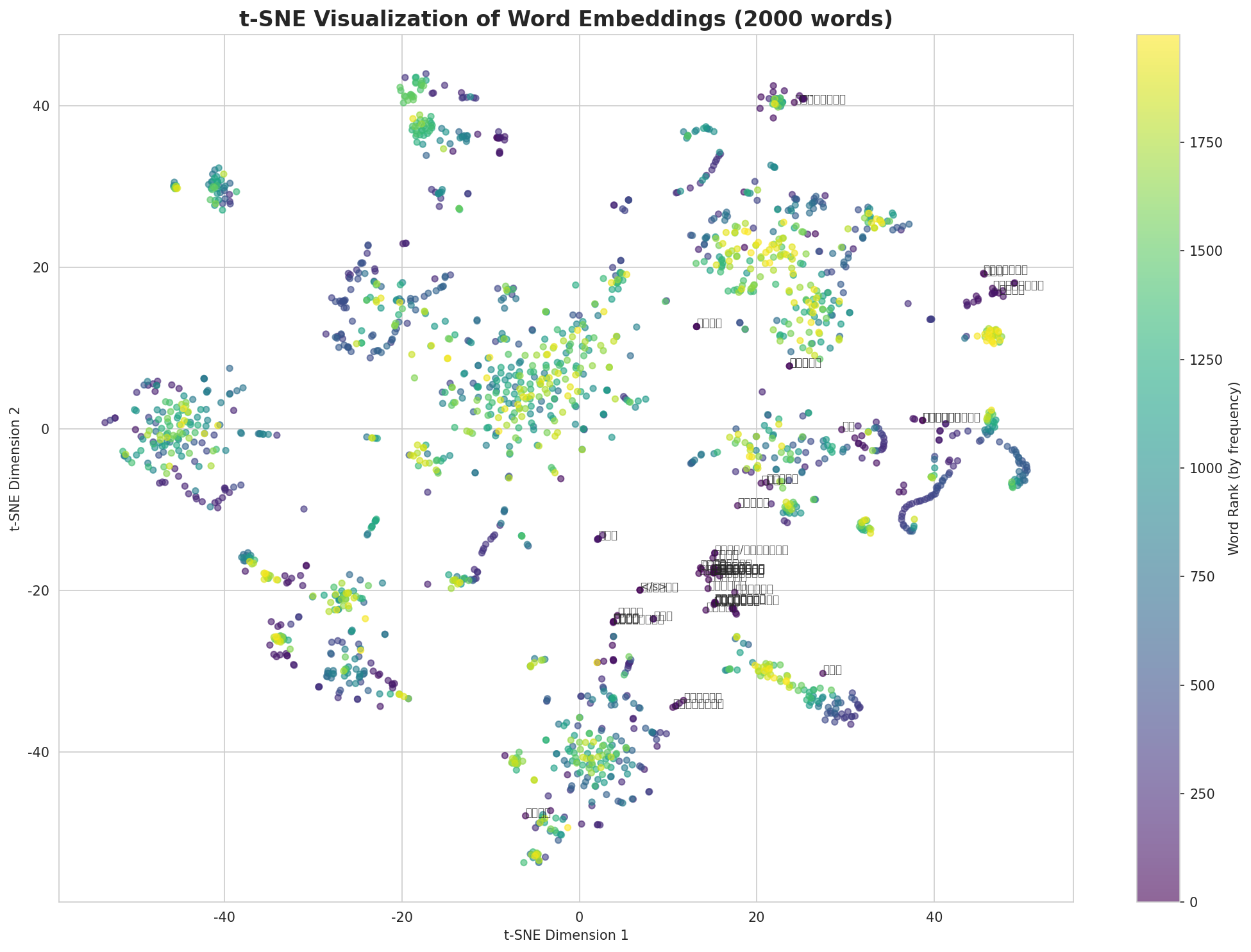 t-SNE Words