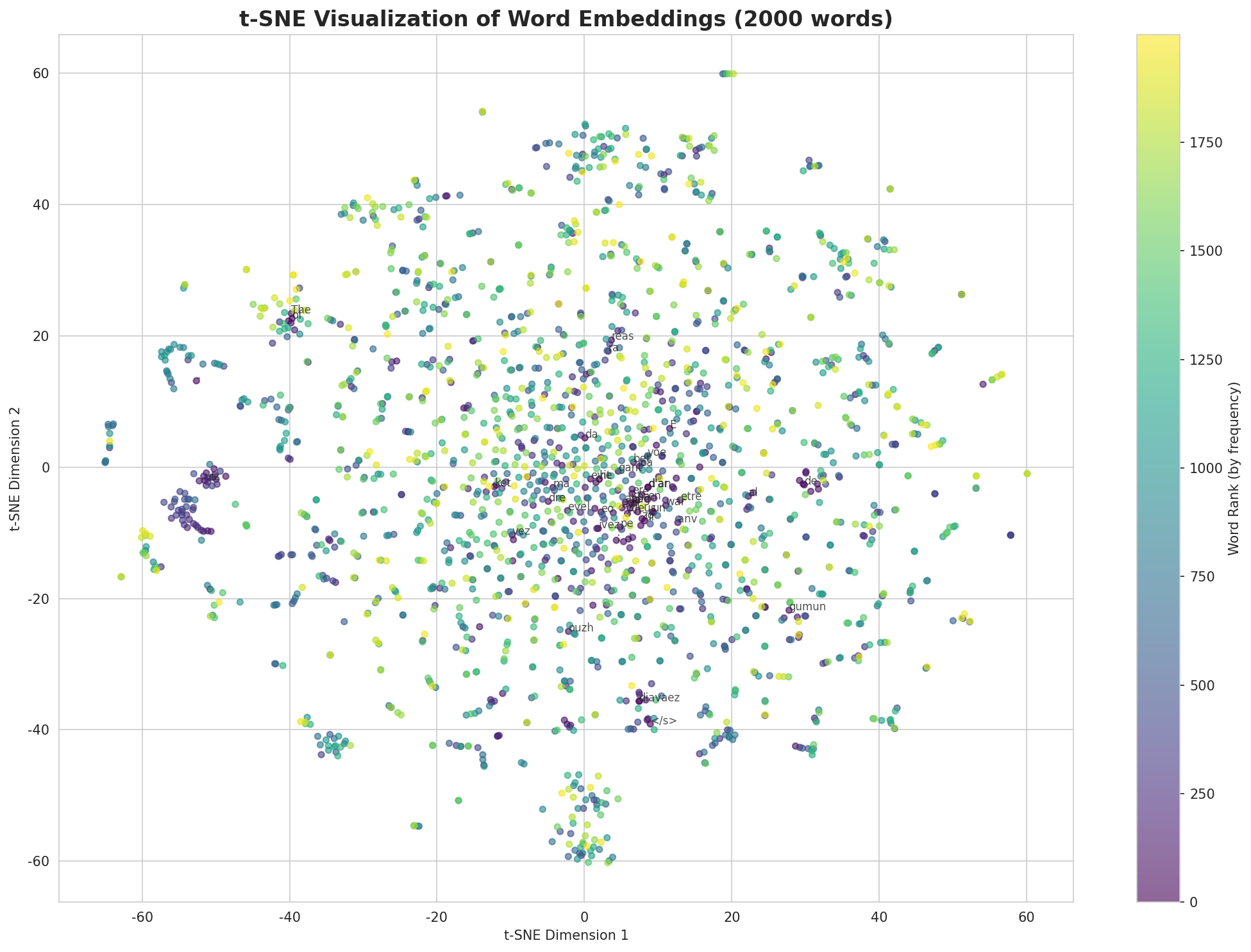 t-SNE Words