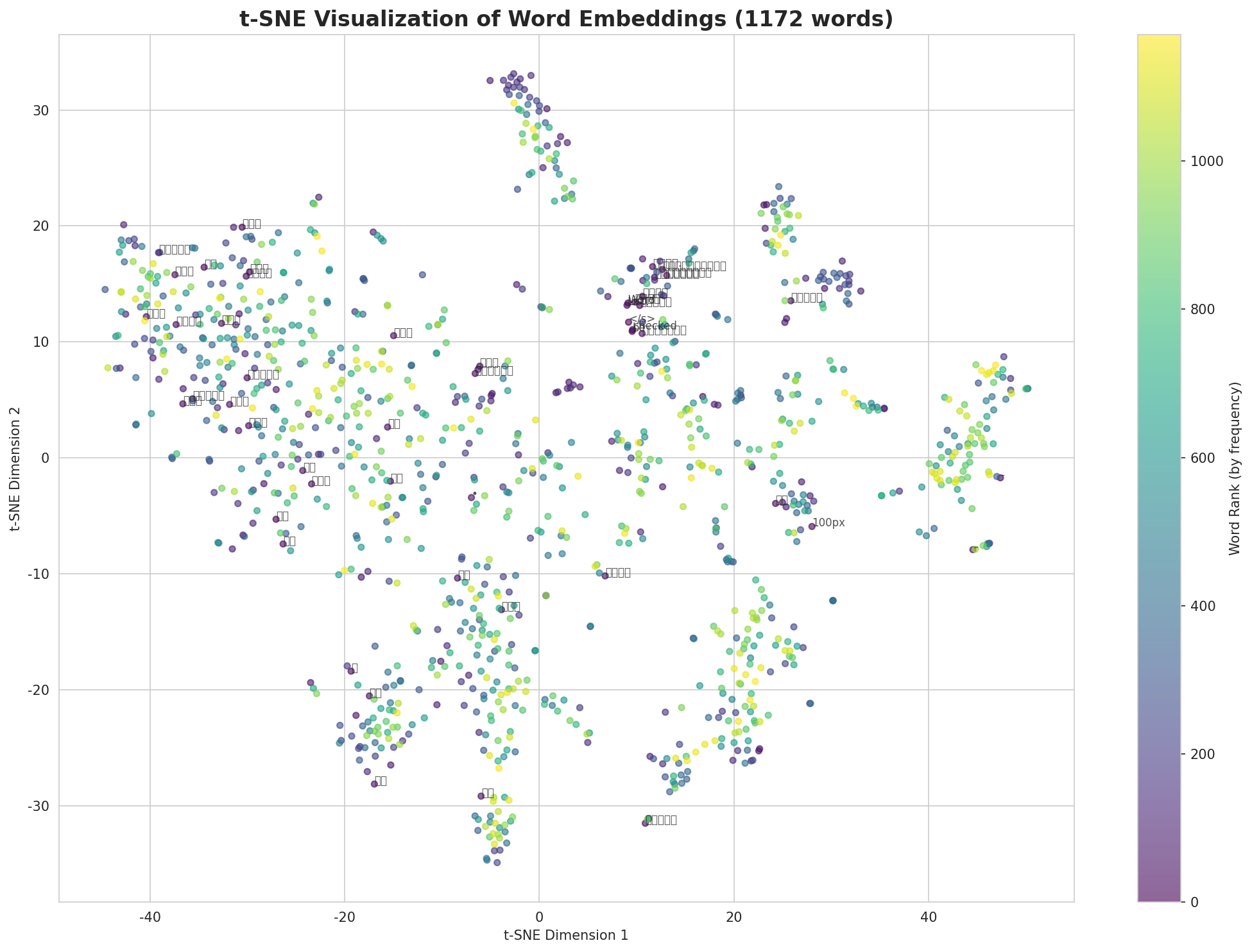 t-SNE Words