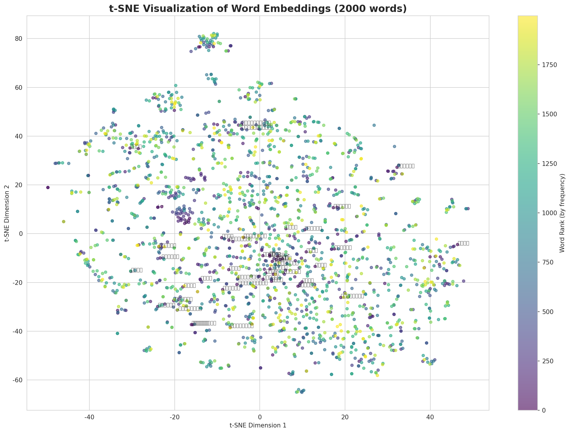t-SNE Words