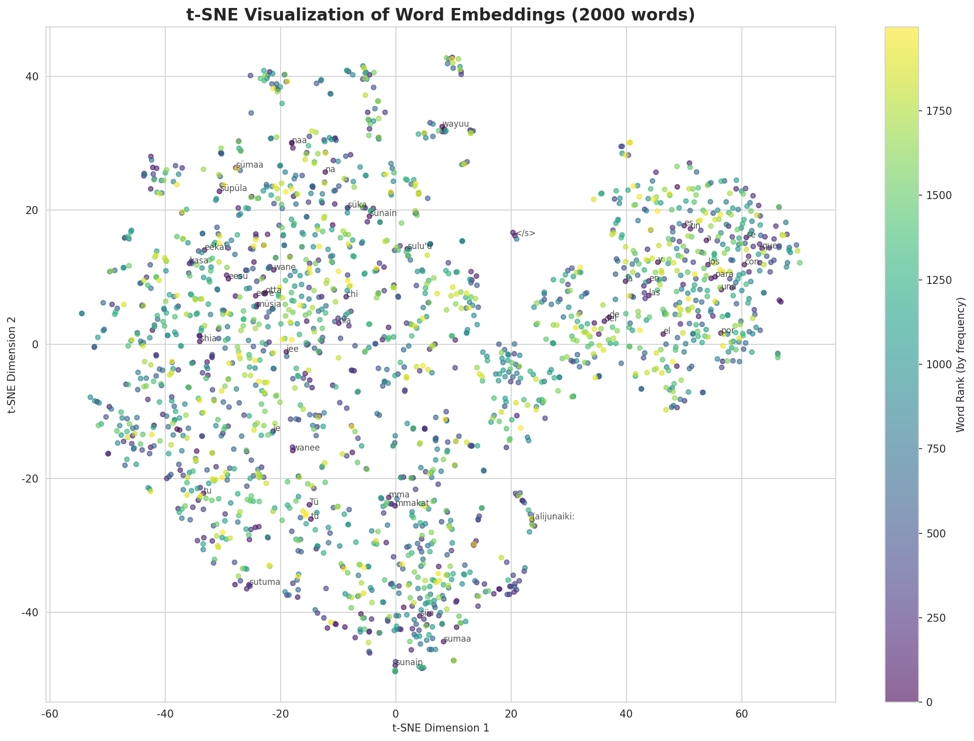 t-SNE Words