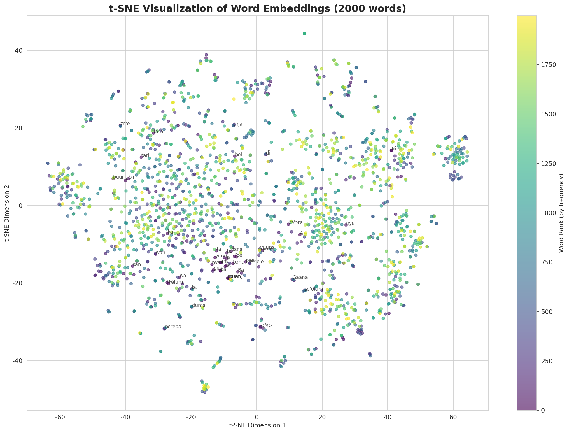 t-SNE Words