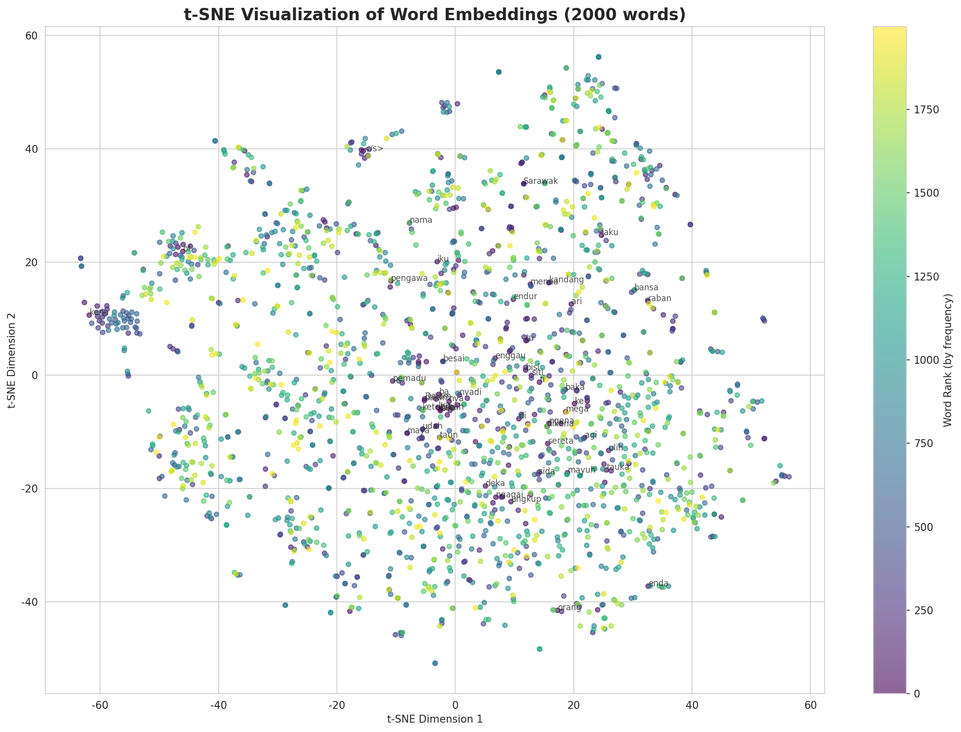 t-SNE Words