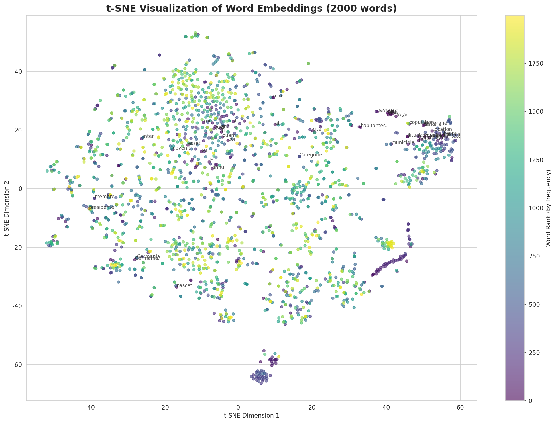 t-SNE Words