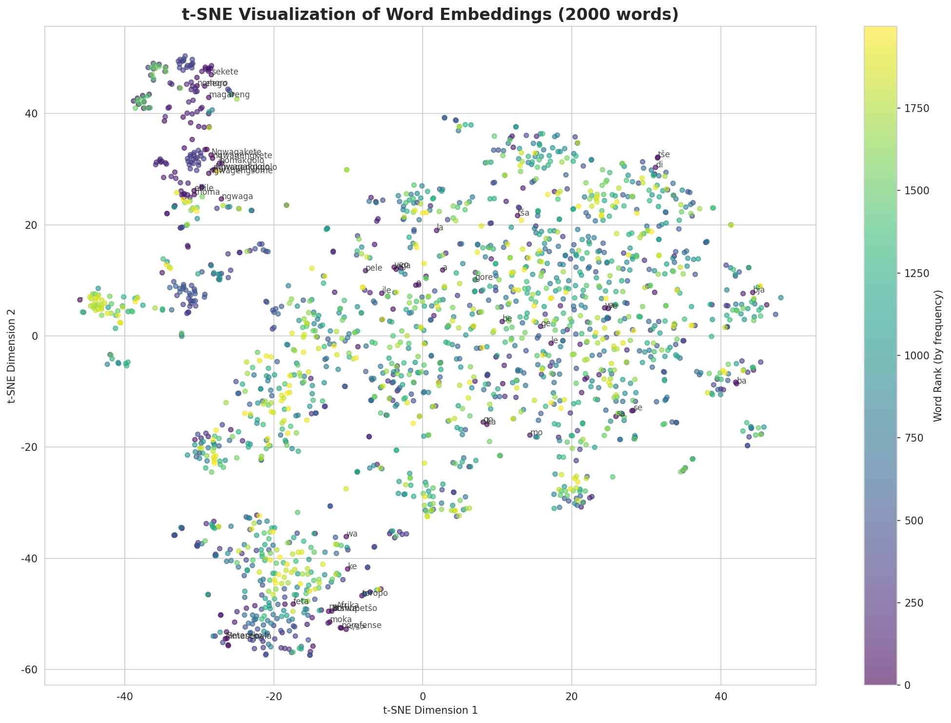 t-SNE Words