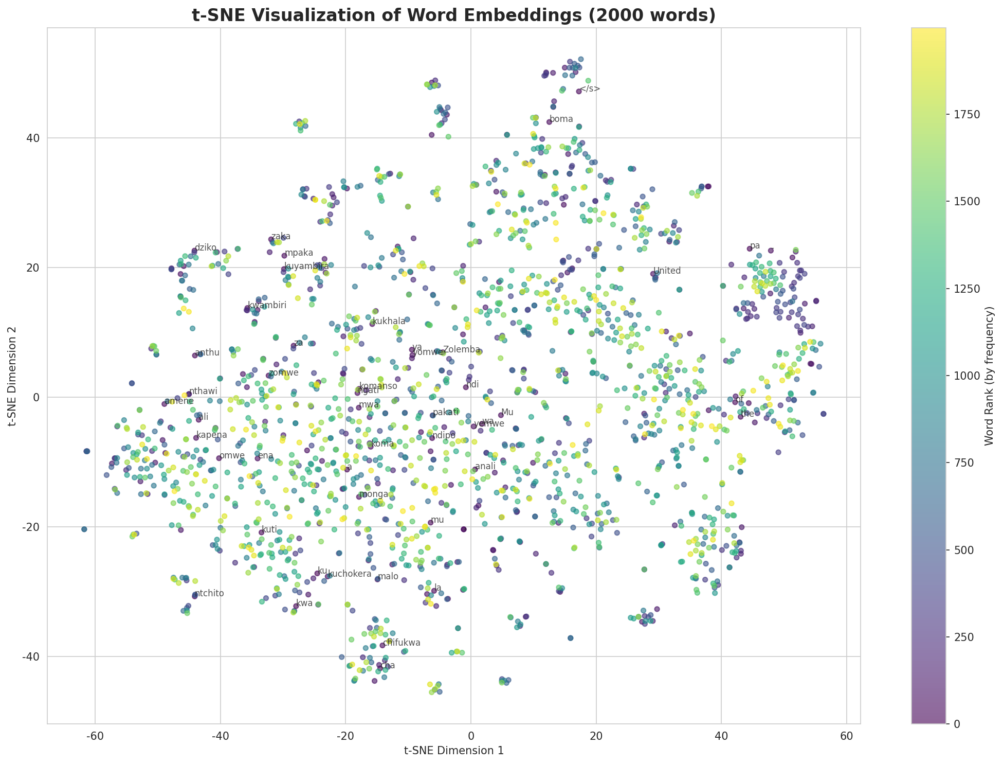 t-SNE Words
