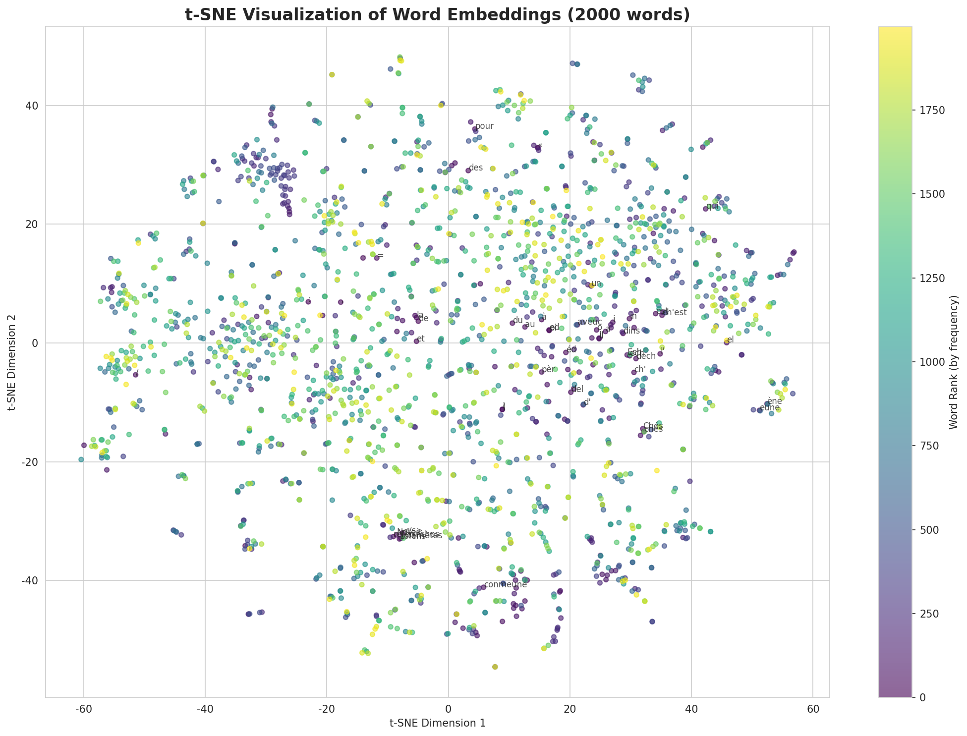 t-SNE Words