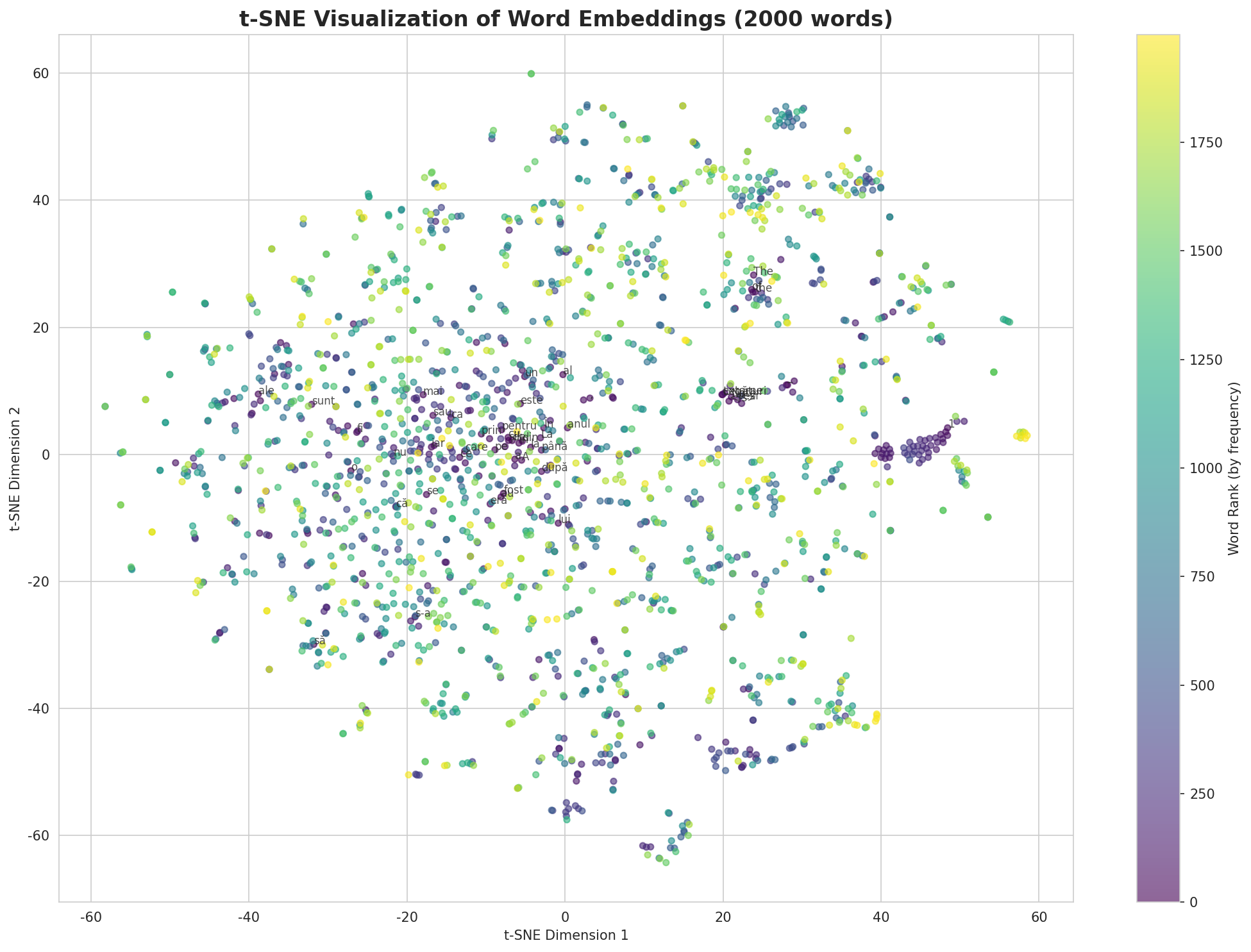 t-SNE Words