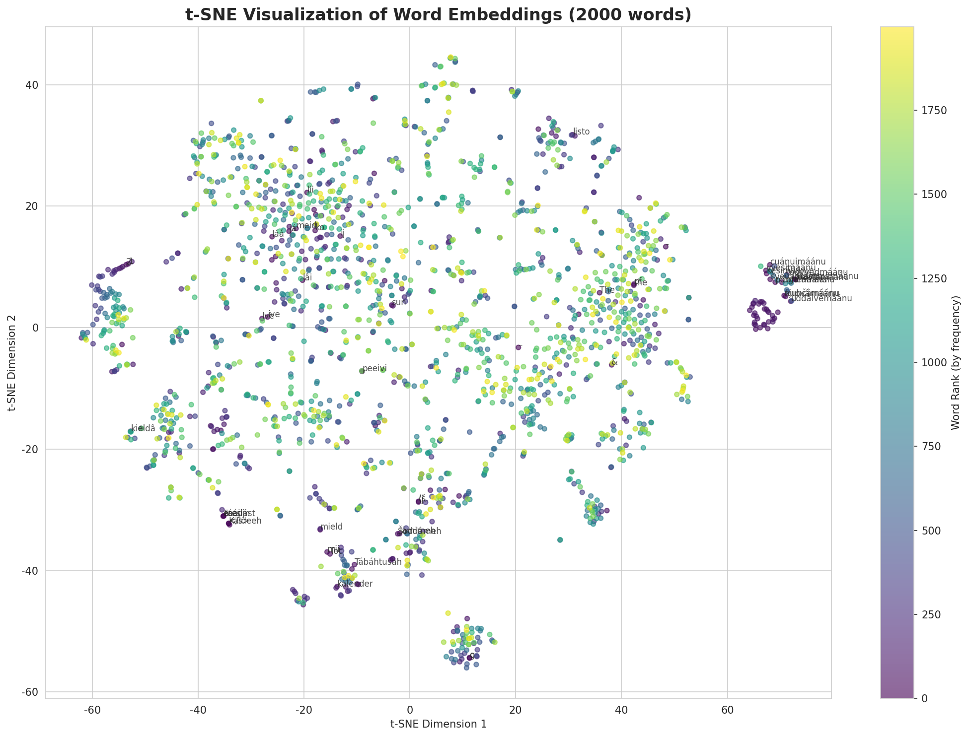 t-SNE Words