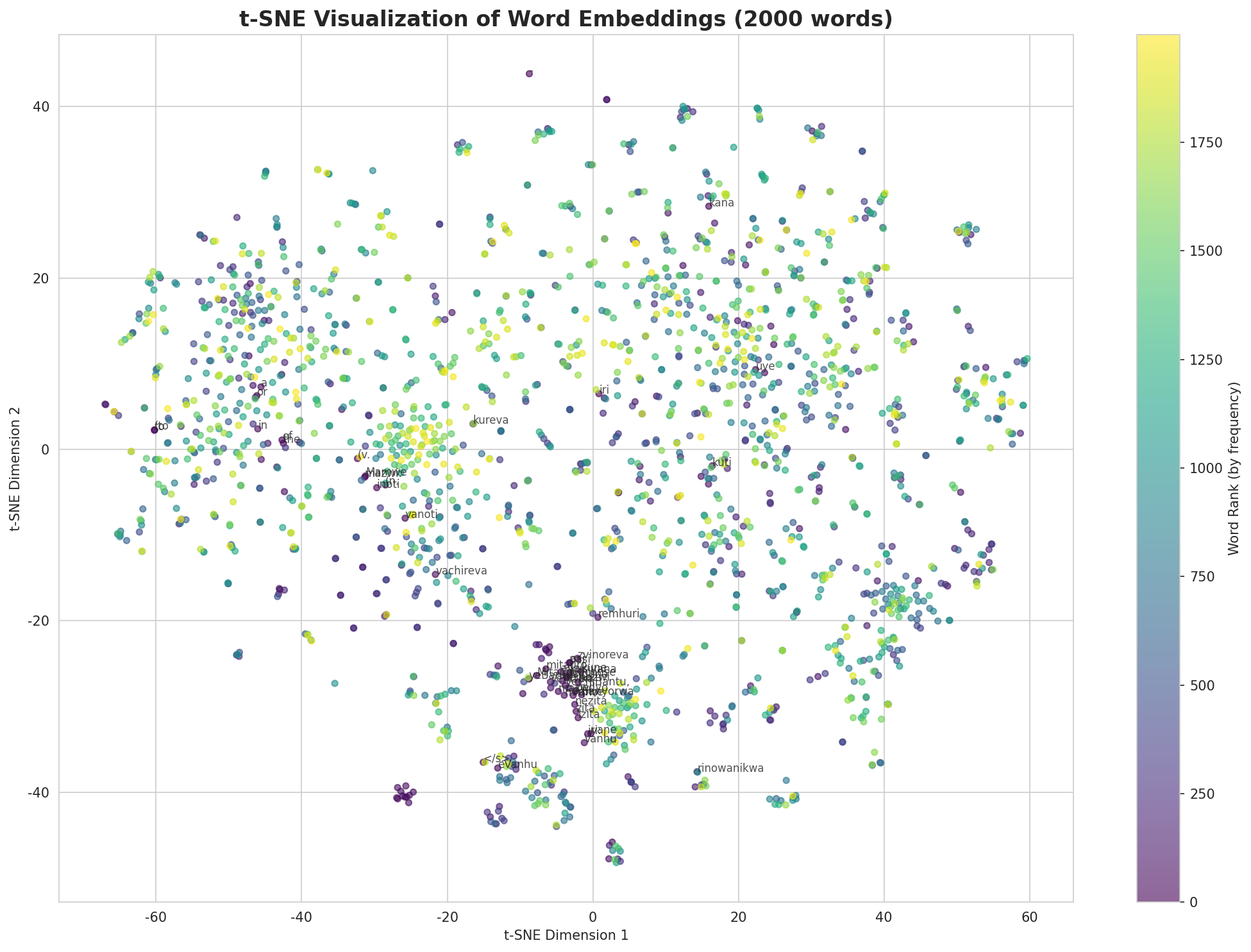 t-SNE Words