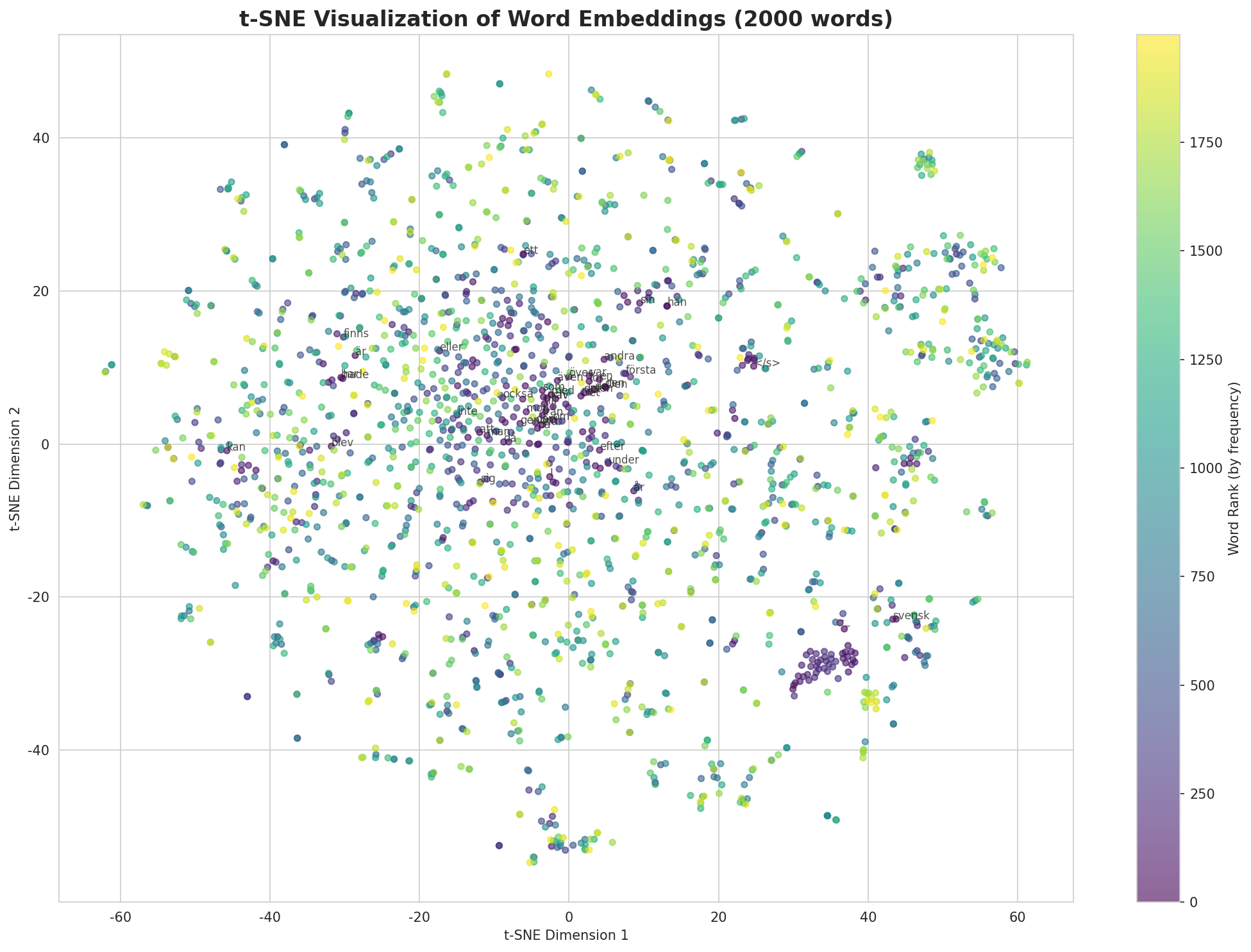 t-SNE Words