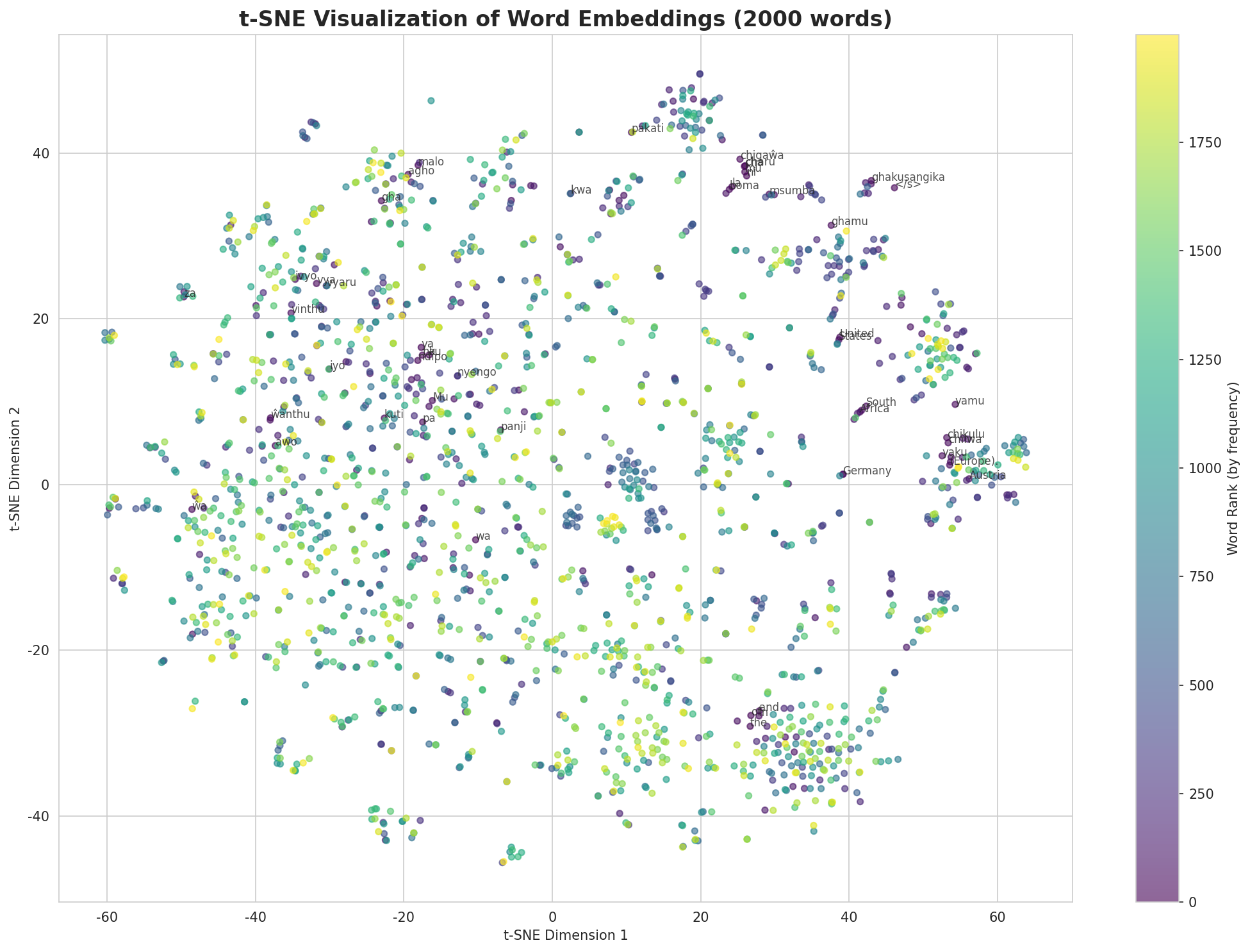 t-SNE Words